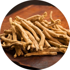 Ashwagandha (Withania somnifera)